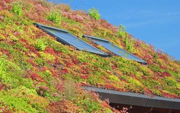 Dunsley living roof systems