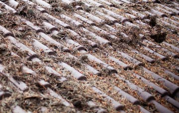 Dunsley roof cleaning companies