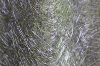 Dunsley fibreglass roof work